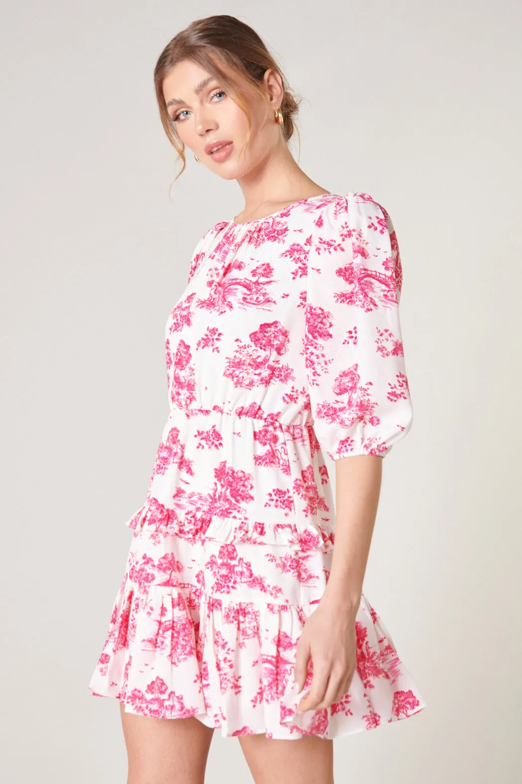 Ainsley Meadow Toile Heartfelt Ruffle Dress