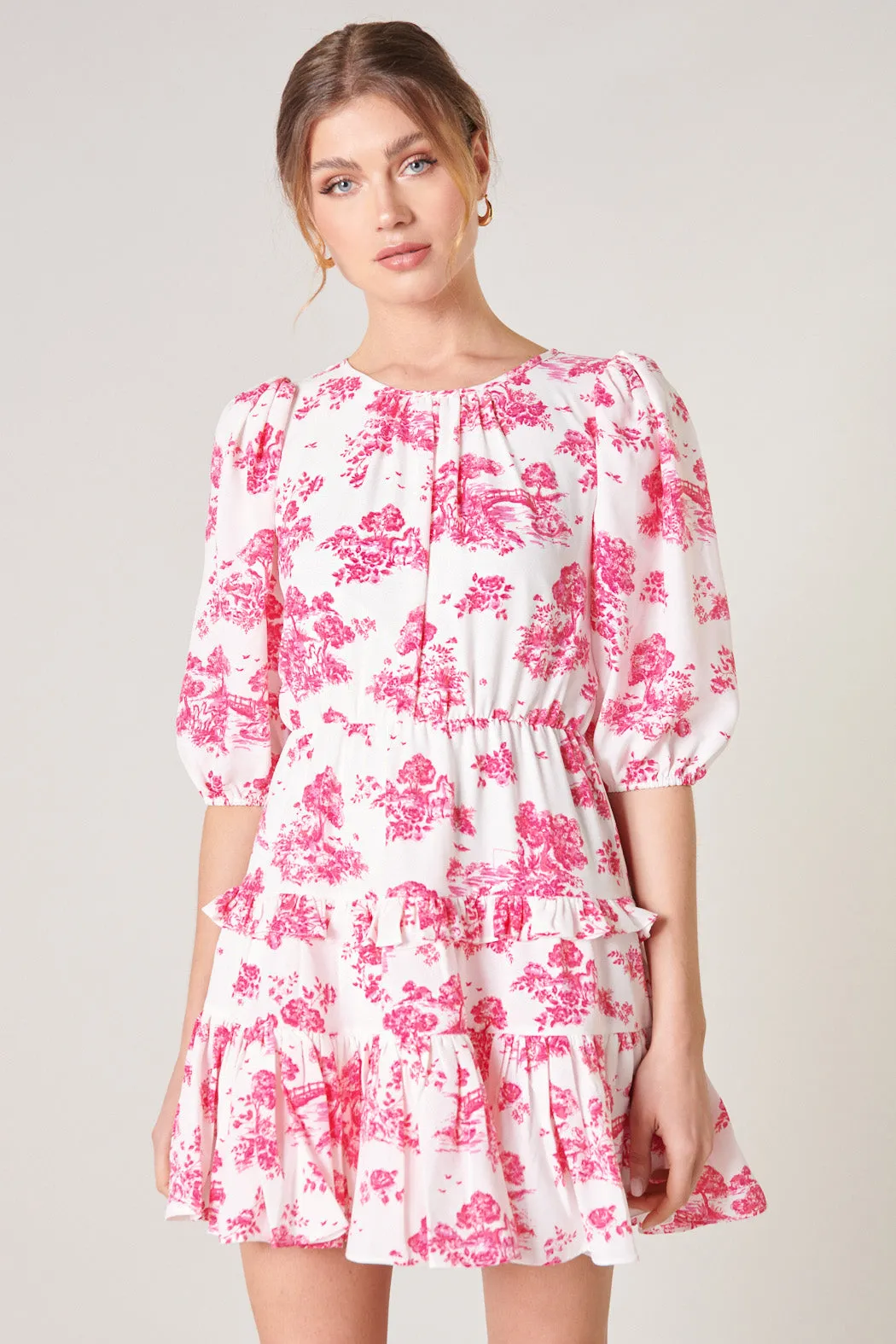 Ainsley Meadow Toile Heartfelt Ruffle Dress