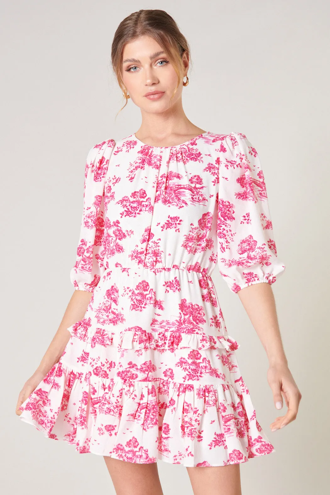 Ainsley Meadow Toile Heartfelt Ruffle Dress