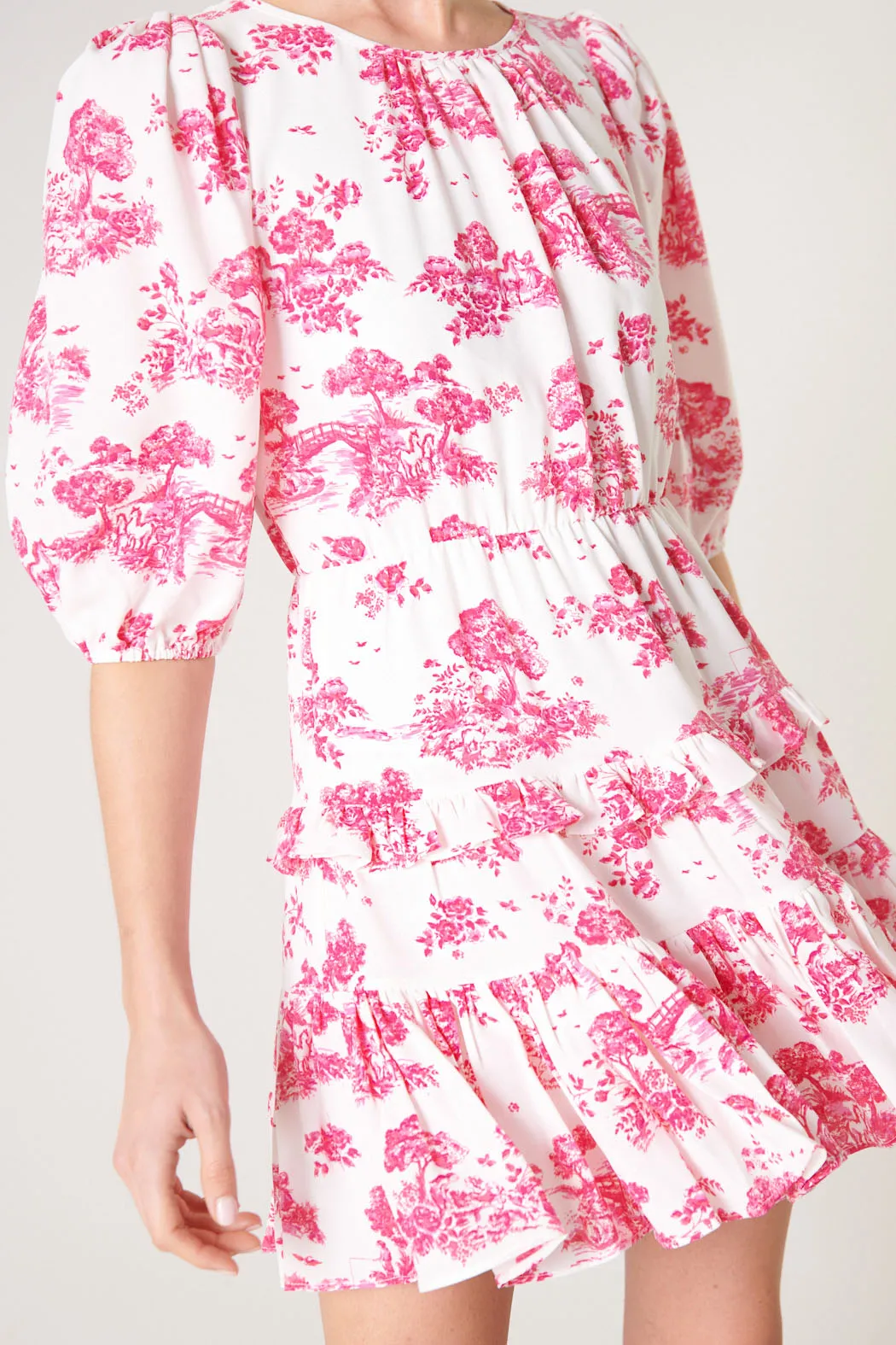 Ainsley Meadow Toile Heartfelt Ruffle Dress